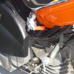 Kreidler Flory