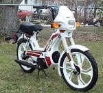 Tomos Targa