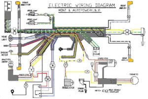 Avanti Autopower and Mont Wiring