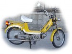 Moprix yellow